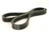 ASHIKA 112-4PK890 V-Ribbed Belts